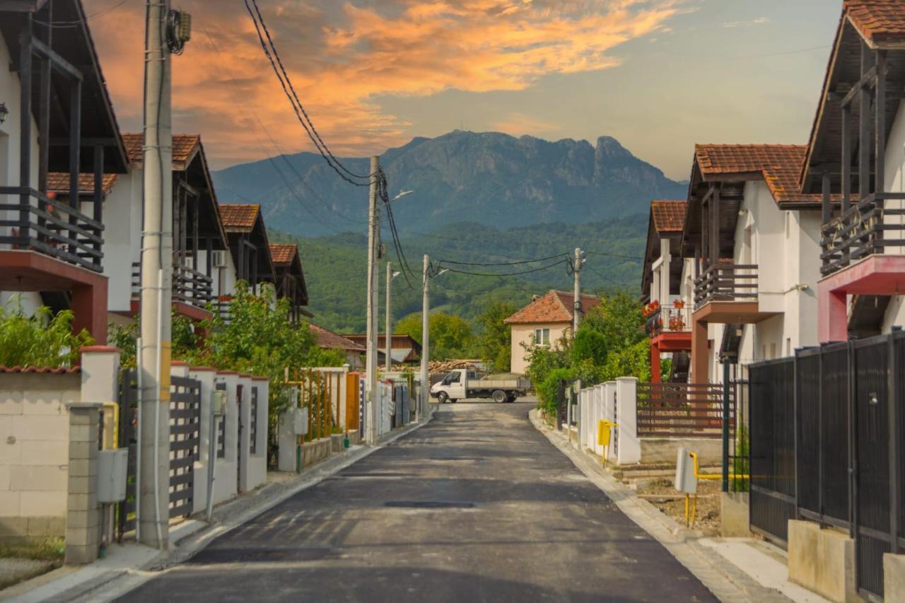 Casa Gabrielle Βίλα Călimăneşti Εξωτερικό φωτογραφία