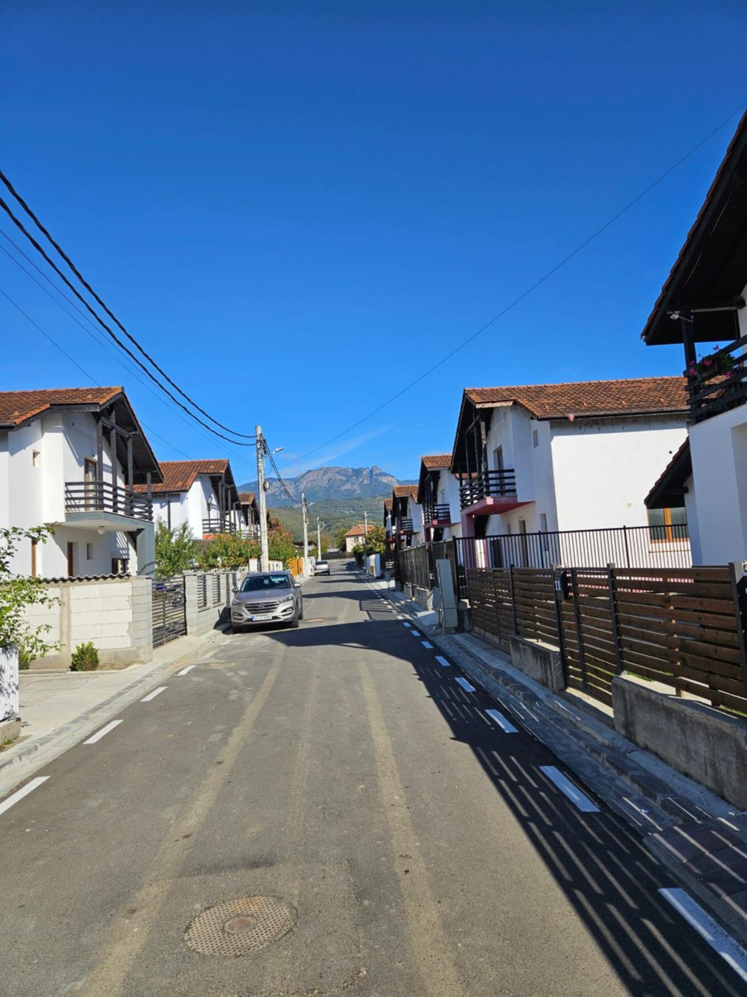 Casa Gabrielle Βίλα Călimăneşti Εξωτερικό φωτογραφία